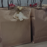 J�LAKR�SINGAR 2025